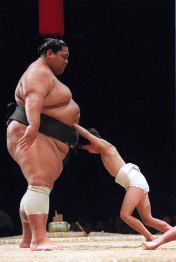 Sumo Basho